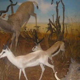 Helikon Kastélymúzeum, Keszthely - Egyéb