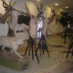 Helikon Kastélymúzeum Keszthely - Egyéb