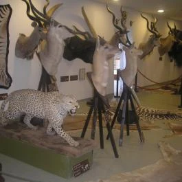 Helikon Kastélymúzeum, Keszthely - Egyéb