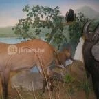 Helikon Kastélymúzeum Keszthely - Egyéb