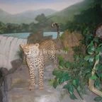 Helikon Kastélymúzeum Keszthely - Belső