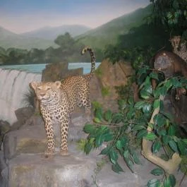 Helikon Kastélymúzeum, Keszthely - Belső