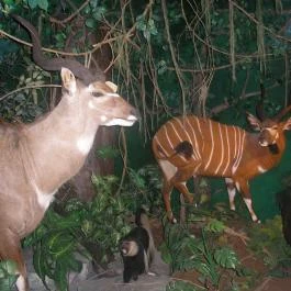 Helikon Kastélymúzeum, Keszthely - Egyéb