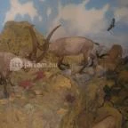 Helikon Kastélymúzeum Keszthely - Belső