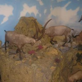 Helikon Kastélymúzeum, Keszthely - Belső