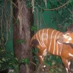 Helikon Kastélymúzeum Keszthely - Egyéb