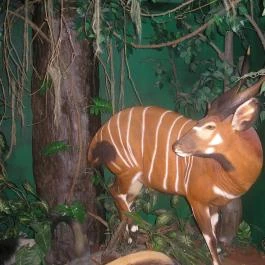 Helikon Kastélymúzeum, Keszthely - Egyéb