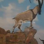 Helikon Kastélymúzeum Keszthely - Belső