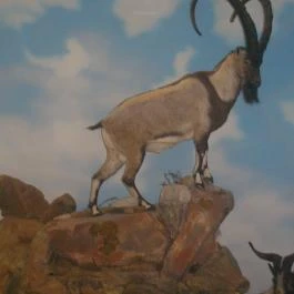 Helikon Kastélymúzeum, Keszthely - Belső