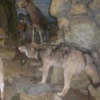 Helikon Kastélymúzeum Keszthely - Belső