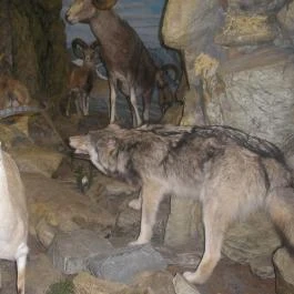 Helikon Kastélymúzeum, Keszthely - Belső