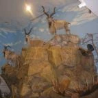 Helikon Kastélymúzeum Keszthely - Belső