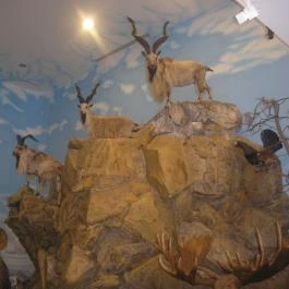 Helikon Kastélymúzeum, Keszthely - Belső