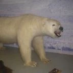 Helikon Kastélymúzeum Keszthely - Egyéb