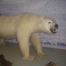 Helikon Kastélymúzeum, Keszthely - Egyéb