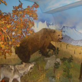 Helikon Kastélymúzeum, Keszthely - Belső