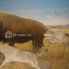 Helikon Kastélymúzeum Keszthely - Egyéb