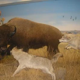 Helikon Kastélymúzeum, Keszthely - Egyéb