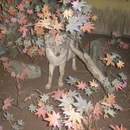 Helikon Kastélymúzeum, Keszthely - Belső