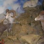 Helikon Kastélymúzeum Keszthely - Egyéb