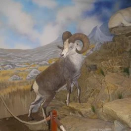 Helikon Kastélymúzeum, Keszthely - Egyéb