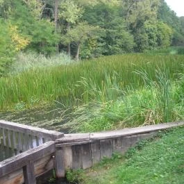 Vízimalom, Túristvándi - 