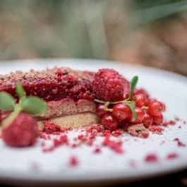 Dalma Panzió Balatonvilágos - Egyéb