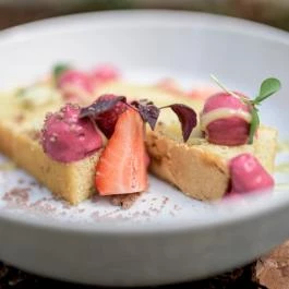 Dalma Panzió Balatonvilágos - Egyéb