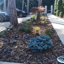 Dalma Panzió Balatonvilágos - Egyéb