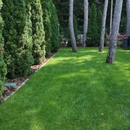 Dalma Panzió Balatonvilágos - Egyéb