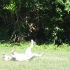 Hotel Villa Natura Garabonc - Egyéb