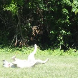 Hotel Villa Natura Garabonc - Egyéb