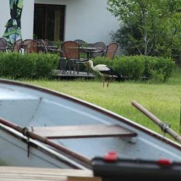 Hotel Villa Natura Garabonc - Medence/kert