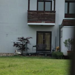 Hotel Villa Natura Garabonc - Külső kép