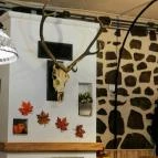 Aranyfácán Vendéglő Sopron - Belső