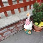 Aranyfácán Vendéglő Sopron - Külső kép