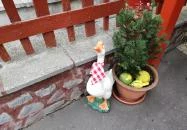 Aranyfácán Vendéglő Sopron