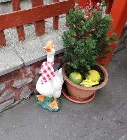 Aranyfácán Vendéglő