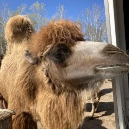 Richter Safari Park Nagykőrös - Külső kép