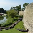 Öreg-tó Tata - Egyéb