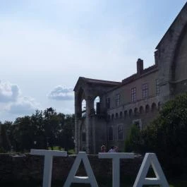 Öreg-tó, Tata - Egyéb