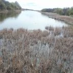 Art Hotel Zalakaros - Környék