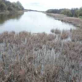 Art Hotel, Zalakaros - Környék