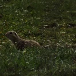 Art Hotel, Zalakaros - Környék