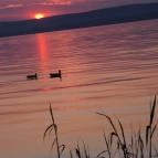 Hotel Három Hattyú Balatonföldvár - Környék