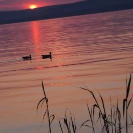 Hotel Három Hattyú, Balatonföldvár - Környék