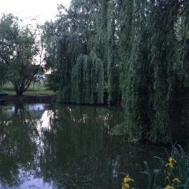Zichy Park Hotel, Bikács - Medence/kert