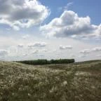 Zichy Park Hotel Bikács - Környék