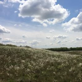 Zichy Park Hotel, Bikács - Környék