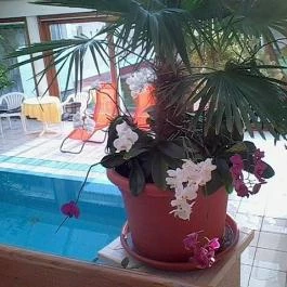 Hotel Kakadu Keszthely - Wellness